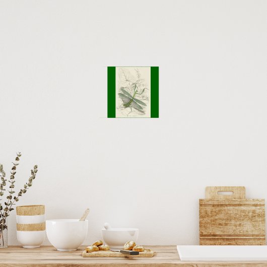 Mantis beten, Mantis Religiosa Poster (Küche)