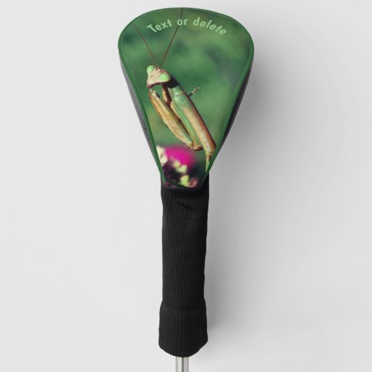 Mantis beten Nah Personalisiert Golf Headcover (Vorderseite)