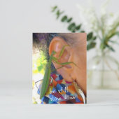 Mantis beten - still sein, langsamer fahren - Post Postkarte (Stehend Vorderseite)