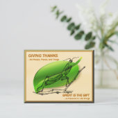 Mantis beten und danken postkarte (Stehend Vorderseite)