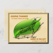 Mantis beten und danken postkarte (Vorne/Hinten)