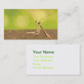 Mantis beten visitenkarte (Vorne/Hinten)
