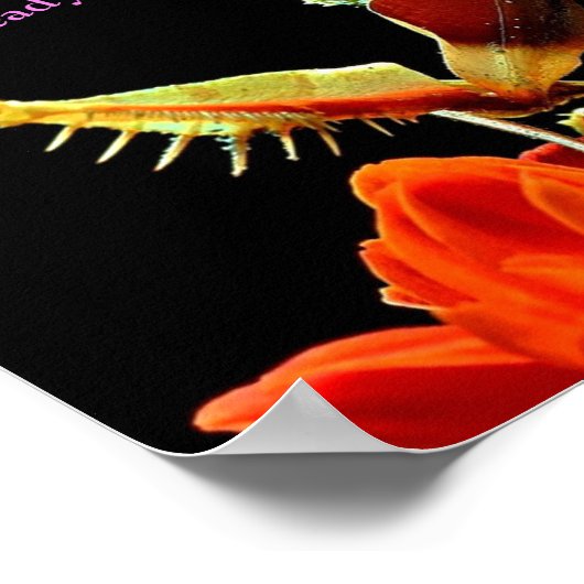 Mantis & Blume Prachen Bright & Beautiful Poster (Ecke)