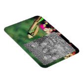 Mantis Frame beten Ihr eigenes Foto Magnet (Rechte Seite)