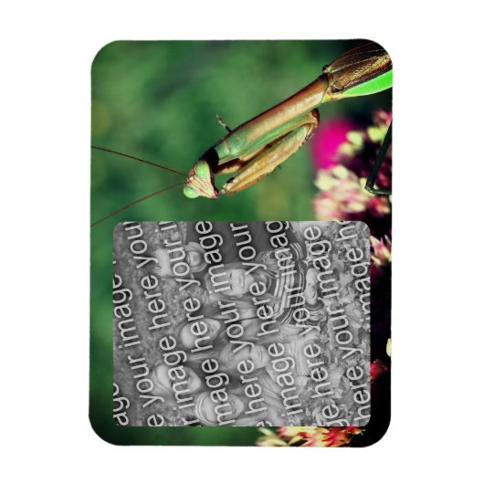 Mantis Frame beten Ihr eigenes Foto Magnet (Vertikal)