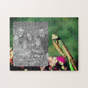 Mantis Frame beten Ihr eigenes Foto Puzzle