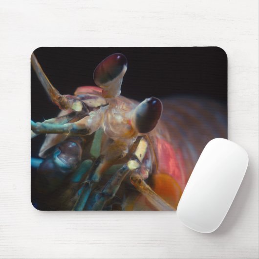 Mantis-Garnele-Mausunterlage Mousepad (Mit Mouse)
