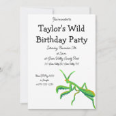 Mantis in hellgrünen Gewohnheiten beten Einladung (Vorderseite)