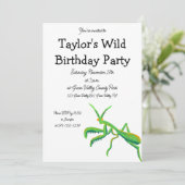 Mantis in hellgrünen Gewohnheiten beten Einladung (Stehend Vorderseite)