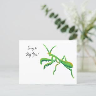 Mantis in hellgrünen Gewohnheiten beten Postkarte