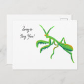 Mantis in hellgrünen Gewohnheiten beten Postkarte (Vorne/Hinten)