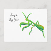 Mantis in hellgrünen Gewohnheiten beten Postkarte (Vorderseite)