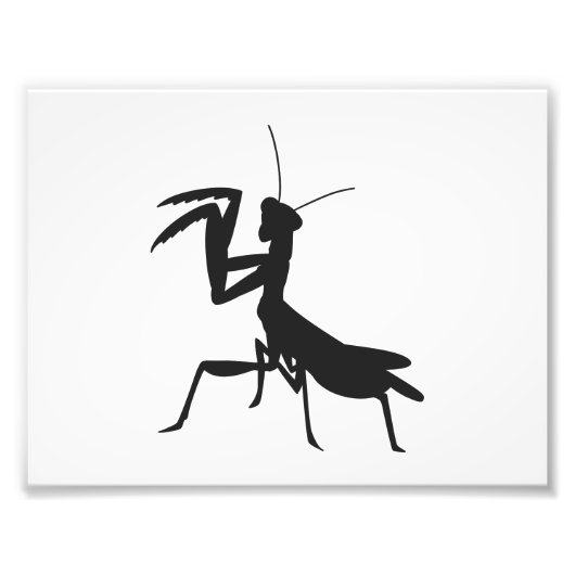 Mantis in Silhouette - Hintergrundfarbe auswählen Fotodruck (Vorne)