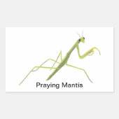 Mantis Insekt Painting Stickers beten (Vorderseite)