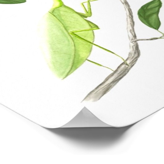 Mantis Kunstdruckerei beten Poster (Ecke)