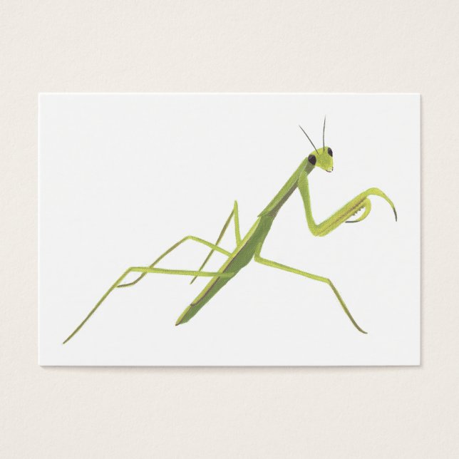 Mantis Learning Flash Cards beten (Vorderseite)