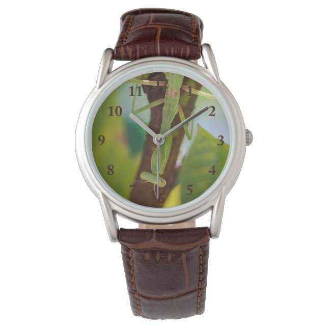 Mantis Leather Watch beten Armbanduhr (Vorderseite)