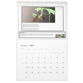 Mantis Mann "Der Gott des Khoi"? Kalender (Jan 2027)