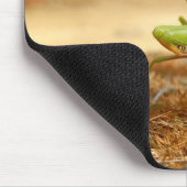 Mantis Mouse Mat beten Mousepad (Ecke)