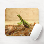 Mantis Mouse Mat beten Mousepad (Mit Mouse)