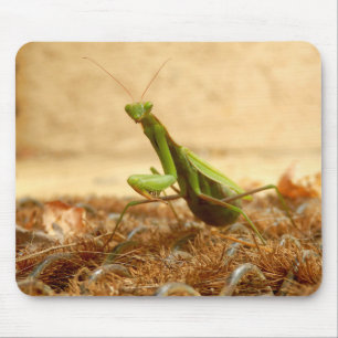 Mantis Mouse Mat beten Mousepad