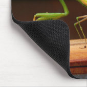 Mantis Mouse Mat beten Mousepad (Ecke)