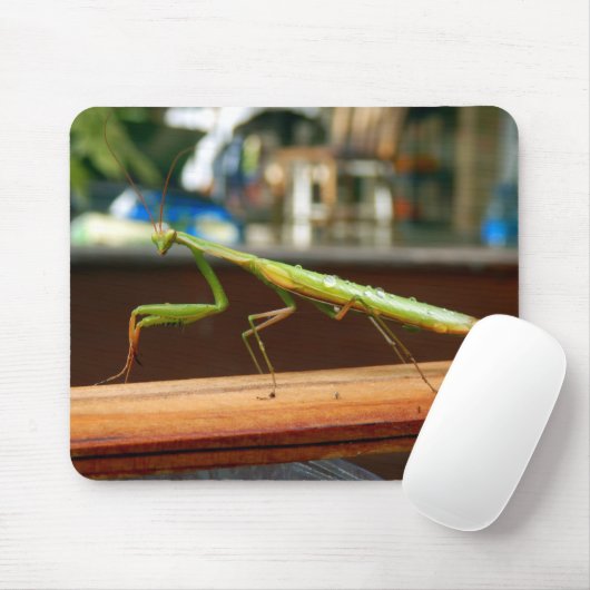 Mantis Mouse Mat beten Mousepad (Mit Mouse)