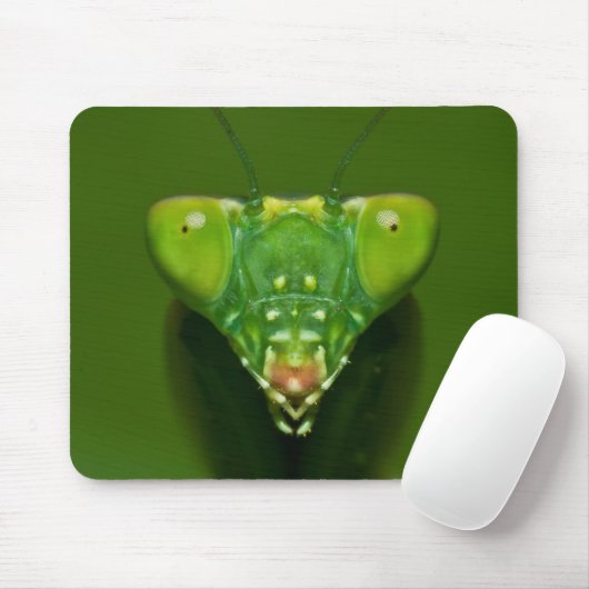 Mantis Mousepad (Mit Mouse)