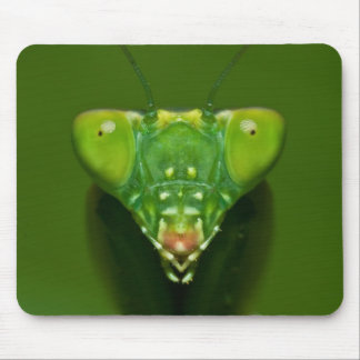 Mantis Mousepad