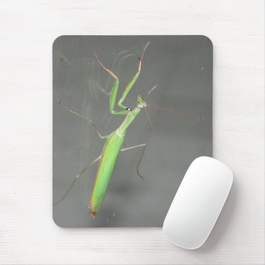 Mantis Mousepad Plus (Mit Mouse)