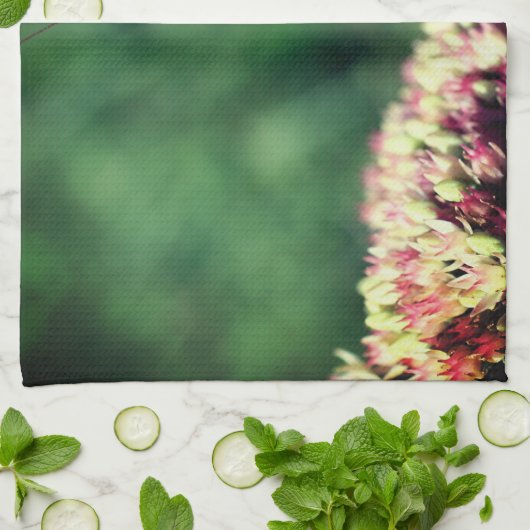 Mantis Nah beten Geschirrtuch (Gefaltet)