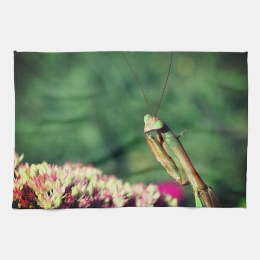 Mantis Nah beten Geschirrtuch (Horizontal)