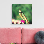 Mantis Nah beten Leinwanddruck (Insitu (Wohnzimmer))