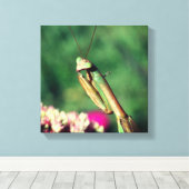 Mantis Nah beten Leinwanddruck (Insitu (Holzboden))