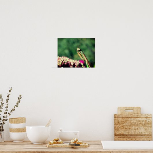 Mantis Nah beten Poster (Küche)