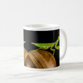 Mantis Nah-up beten Kaffeetasse (VorderseiteRechts)