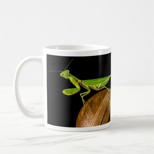 Mantis Nah-up beten Kaffeetasse (Links)