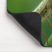 Mantis Nah-up beten Mousepad (Ecke)