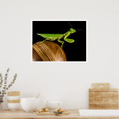 Mantis Nah-up beten Poster (Küche)