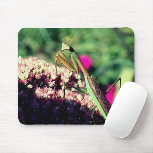 Mantis Nature beten Mousepad (Mit Mouse)