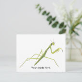 Mantis Painting Custom Postcards Postkarte (Stehend Vorderseite)