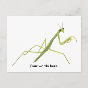 Mantis Painting Custom Postcards Postkarte
