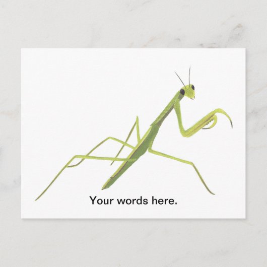 Mantis Painting Custom Postcards Postkarte (Vorderseite)