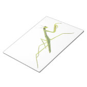 Mantis Painting Notepad Notizblock (angewinkelt)