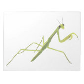 Mantis Painting Notepad Notizblock (Vorderseite)