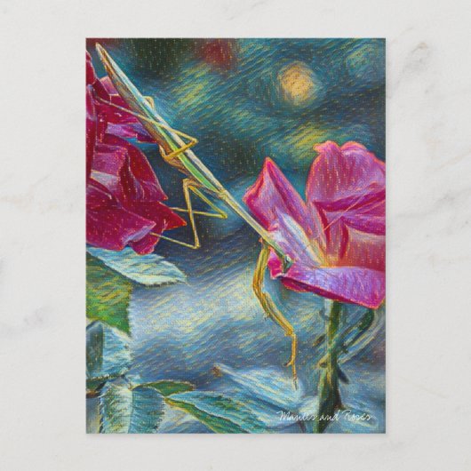 Mantis:Postcard Postkarte (Vorderseite)