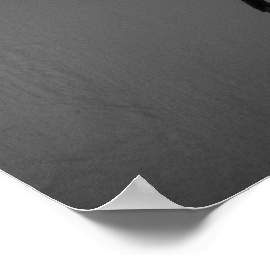 Mantis Poster (Ecke)