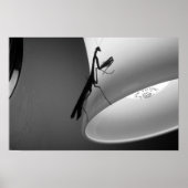 Mantis Poster (Vorne)