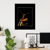 Mantis Poster (Heimbüro)