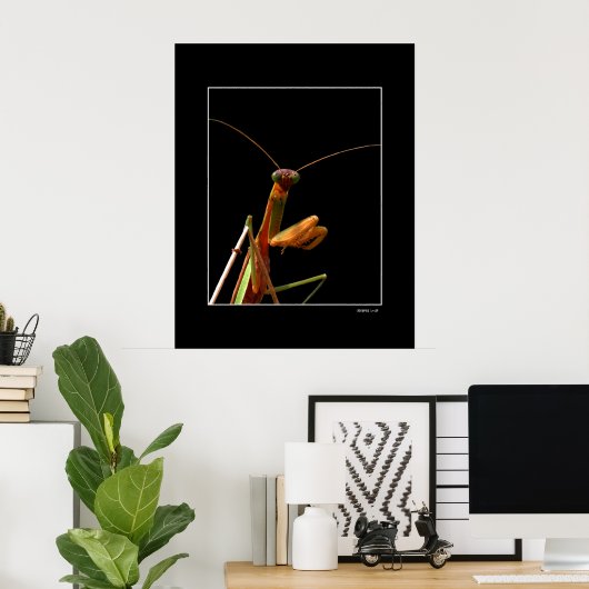 Mantis Poster (Heimbüro)